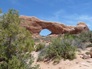 Retreats by Turiya and the San Diego Dharma Center