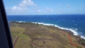 Hello Kauai