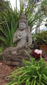 Sunshine and Buddha's on Maui