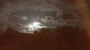 Magical Moon on Maui