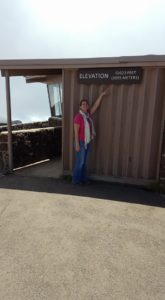 Smiling On Haleakala At 10000 Feet